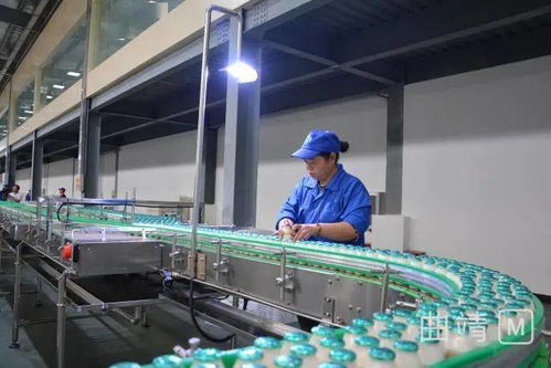 陸良現代化廠區投資2.8億，企業管理服務助力試生產階段高效運行